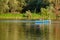 Danube island Å odroÅ¡ near Novi Sad, Serbia. Fishermans sitting in boat and holding fishing r